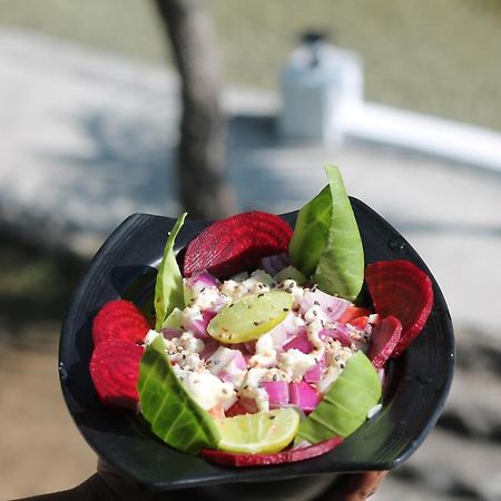 Shivanjal Wellness And Accommodation Ришикеш Экстерьер фото